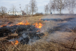 На земельных участках могут запретить выжигать сухую траву