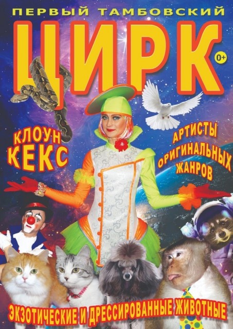 Цирк в ГДК