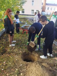 В Александровске появилась "Аллея Первых"