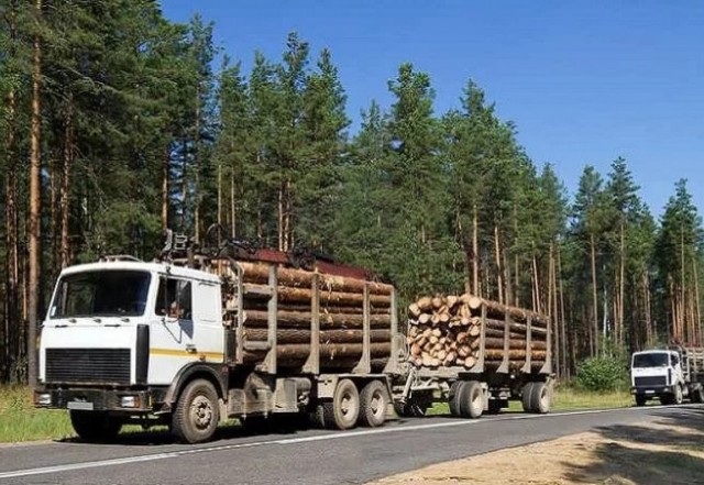 Следователи завершили уголовное дело по контрабанде пиломатериалов из посёлка Яйва