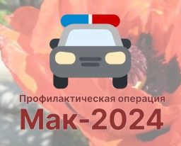 ​Оперативно-профилактическая операция «Мак-2024»