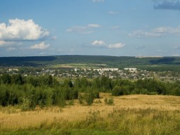 Во Всеволодо-Вильве пройдут выборы главы поселения