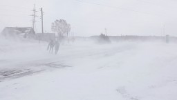 В Прикамье ожидается порывистый ветер и сильный снегопад